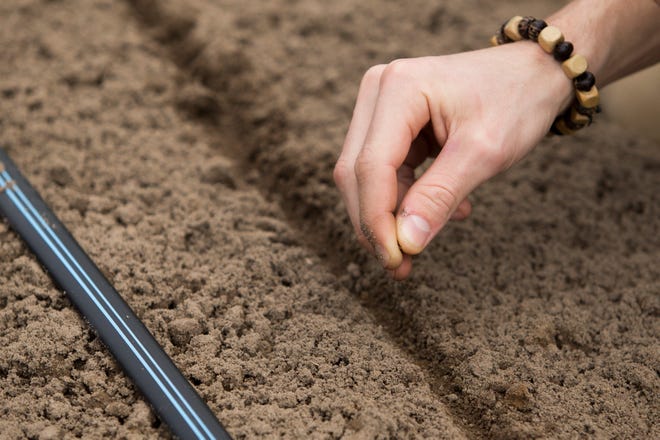 Before planting seeds for your spring vegetable garden, there's plenty to do now to get your garden ready.