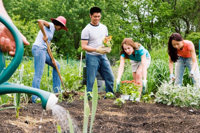 iStock-519977247 save money gardening Group planting in community garden