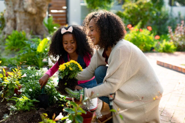 iStock-1342106077 save money gardening Black mother and daughter planting flowers