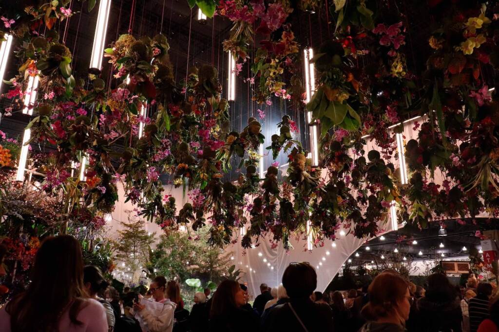 A beautiful flower arrangement hangs from the ceiling.