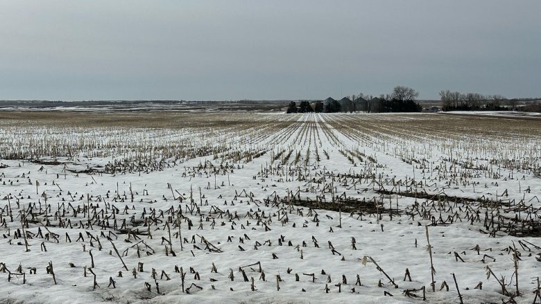 Lee-Lubbers-snow-South-Dakota A field of snow in South Dakota