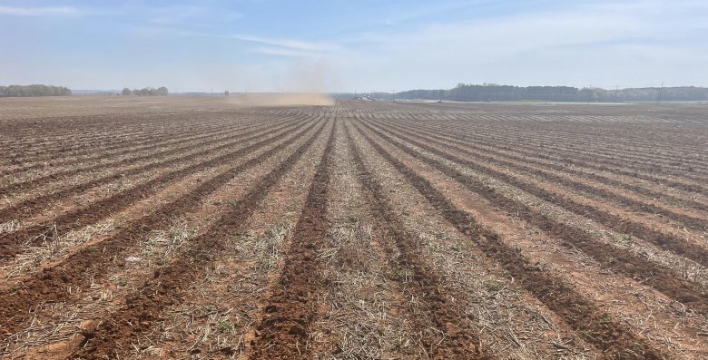 Chad-Henderson-Alabama-strip-till-2023 A red strip tilled field in Alabama on a sunny spring day