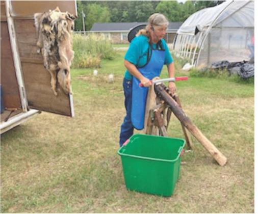 TANNING HIDES - Shona Jordan from Pike County demonstrates the process of converting an animal hide into a pelt during the Arkansas Homesteading Conference held last year at the Pioneer Village in Rison. Jordan, who is also a taxidermist, is returning to this year’s conference to once again discuss the process of tanning hides.