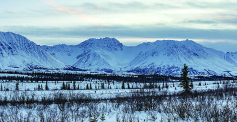 A snowy landscape in Alaska, with mountains in the distance.