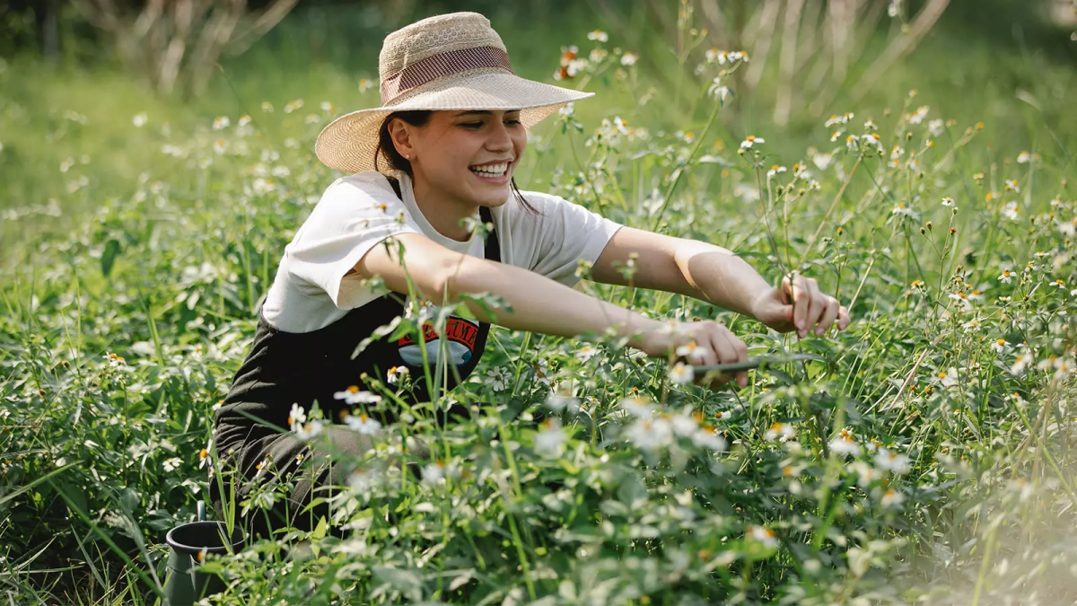guide to gardening.jpeg guide to gardening.jpeg