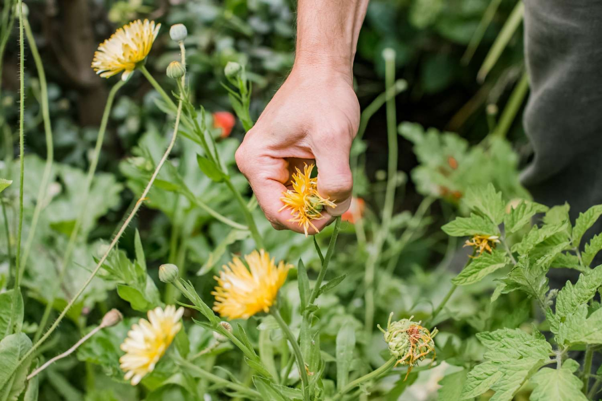 may gardening to do list complete may gardening to do list complete