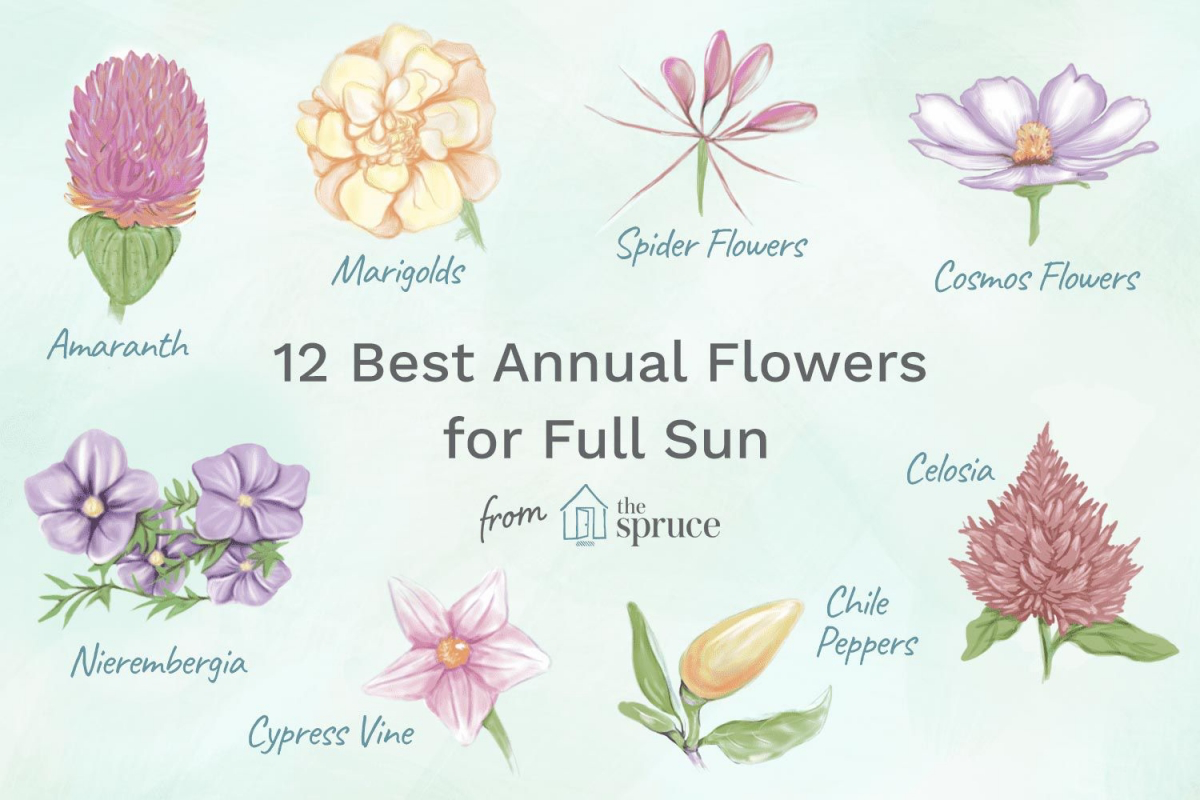 may and april gardening to do list may and april gardening to do list