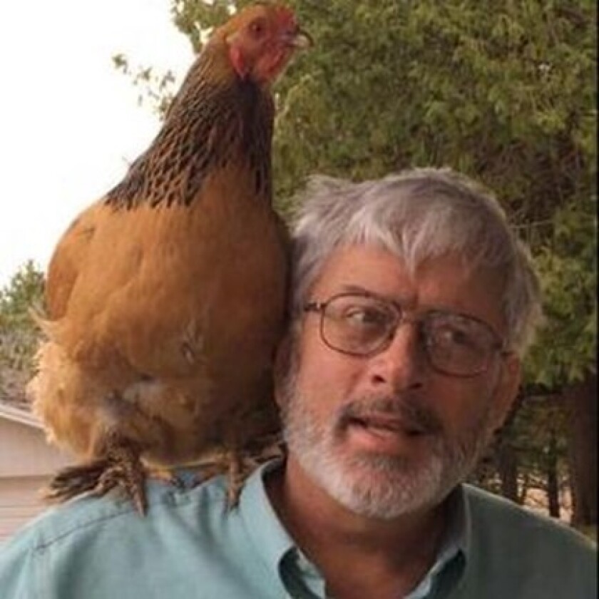 gardening with chickens.jpg