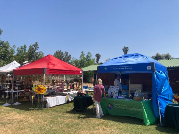 UC Master Gardeners and craft vendors are seen at a...