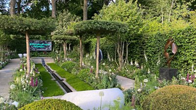 Garden with a small stream in the middle; thin trees surrounding a walkway