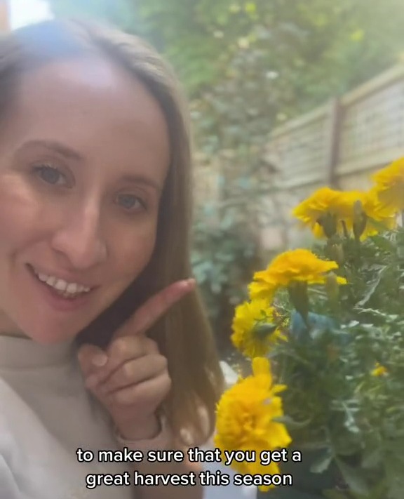 Kia suggested that gardeners should be adding marigolds to their gardens to ward off pesky bugs