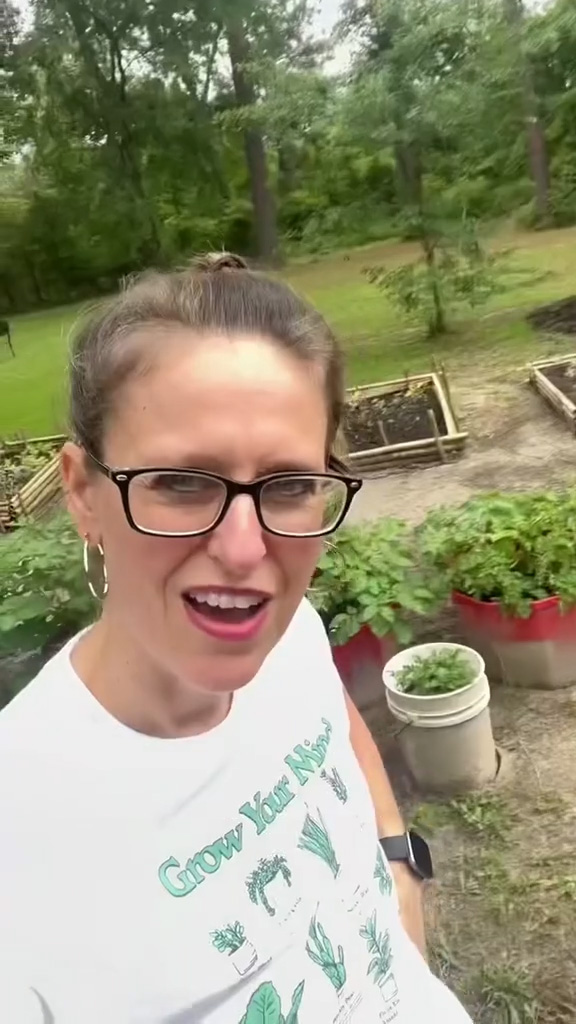 TikToker Angel revealed three plants that are incredibly easy to grow