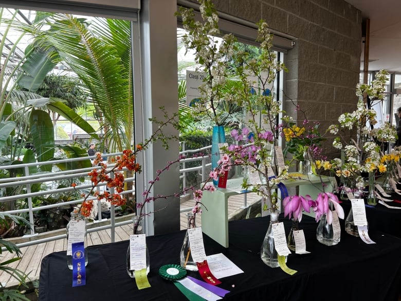 Flowers of different species exhibited at the flower show