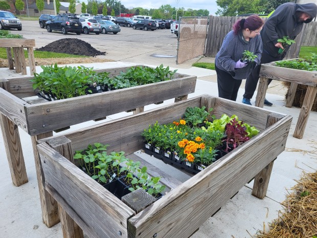 There are accessible beds available for gardeners using wheelchairs and scooters.(PHOTO BY SUSAN SMILEY)