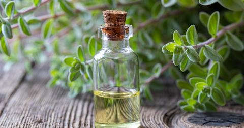A bottle of marjoram oil near marjoram leaves.