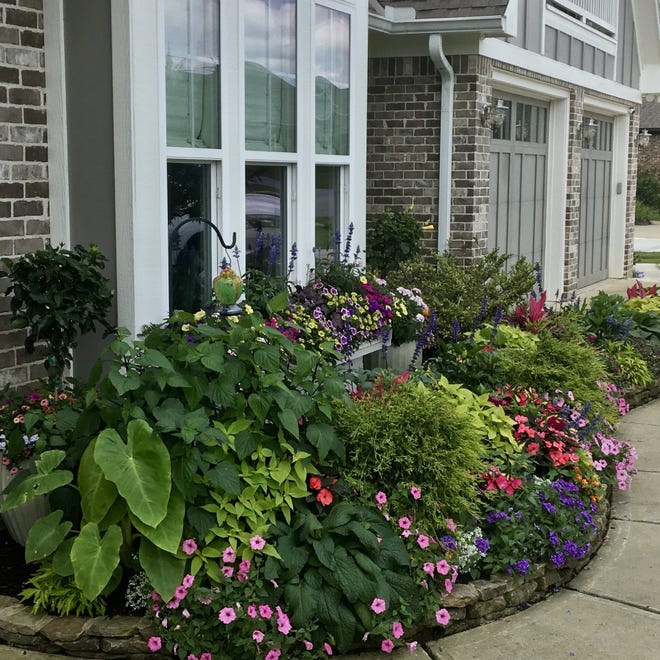 Kim Mixon is a real estate guru in East Alabama and West Georgia with a penchant for flowers. In this sweeping bed Superbena Violet Ice is one of the first to catch your eye