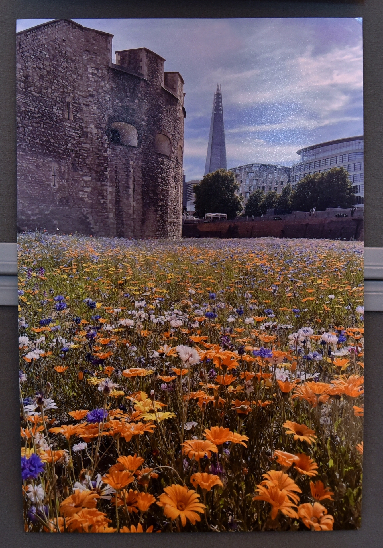 First Prize Protecting our Natural World John Warland