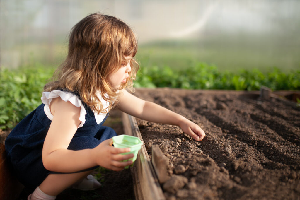 Planting Seeds