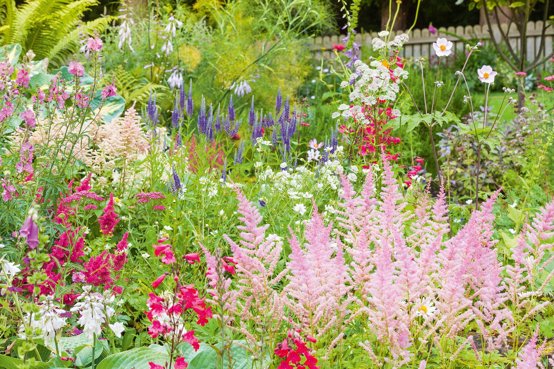 Cottage garden ideas beautiful border