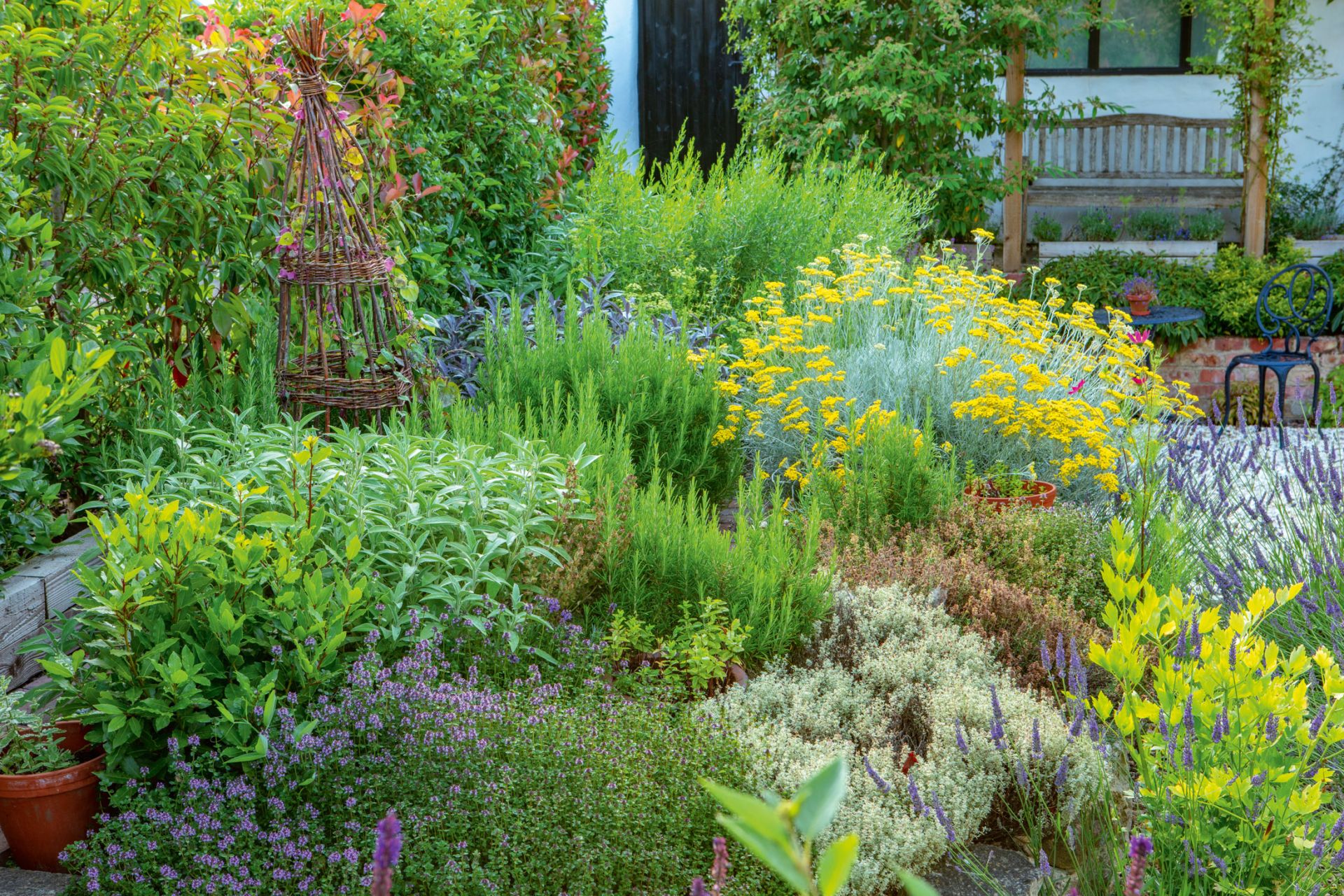 Cottage garden ideas
