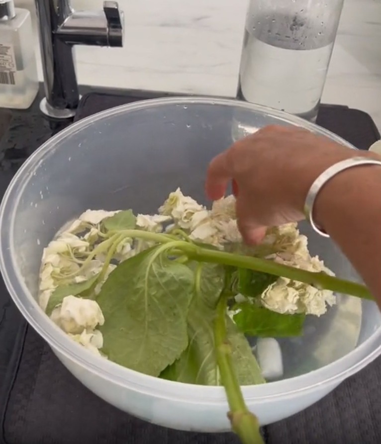 The influencer soaked the head of her flowers in cold water before cutting the stems diagonally