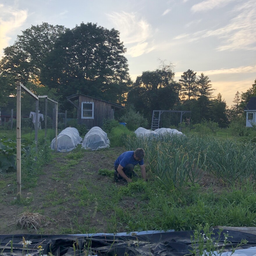  A man kneeling in his garden