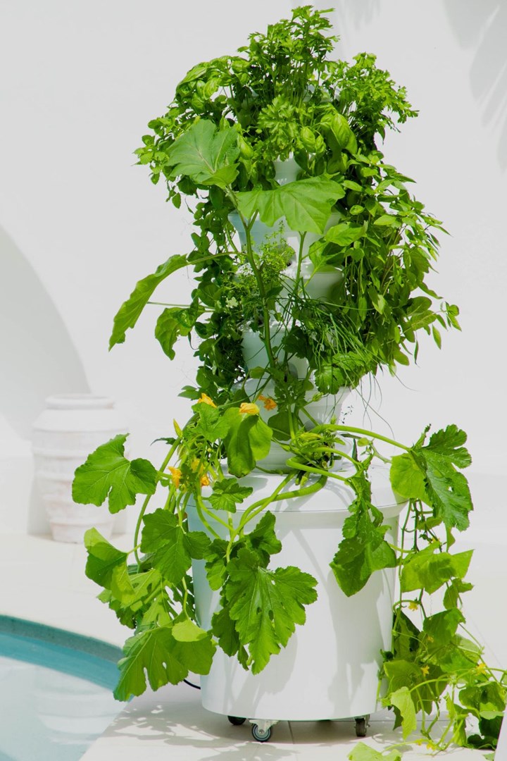 an airgarden makes gardening easier