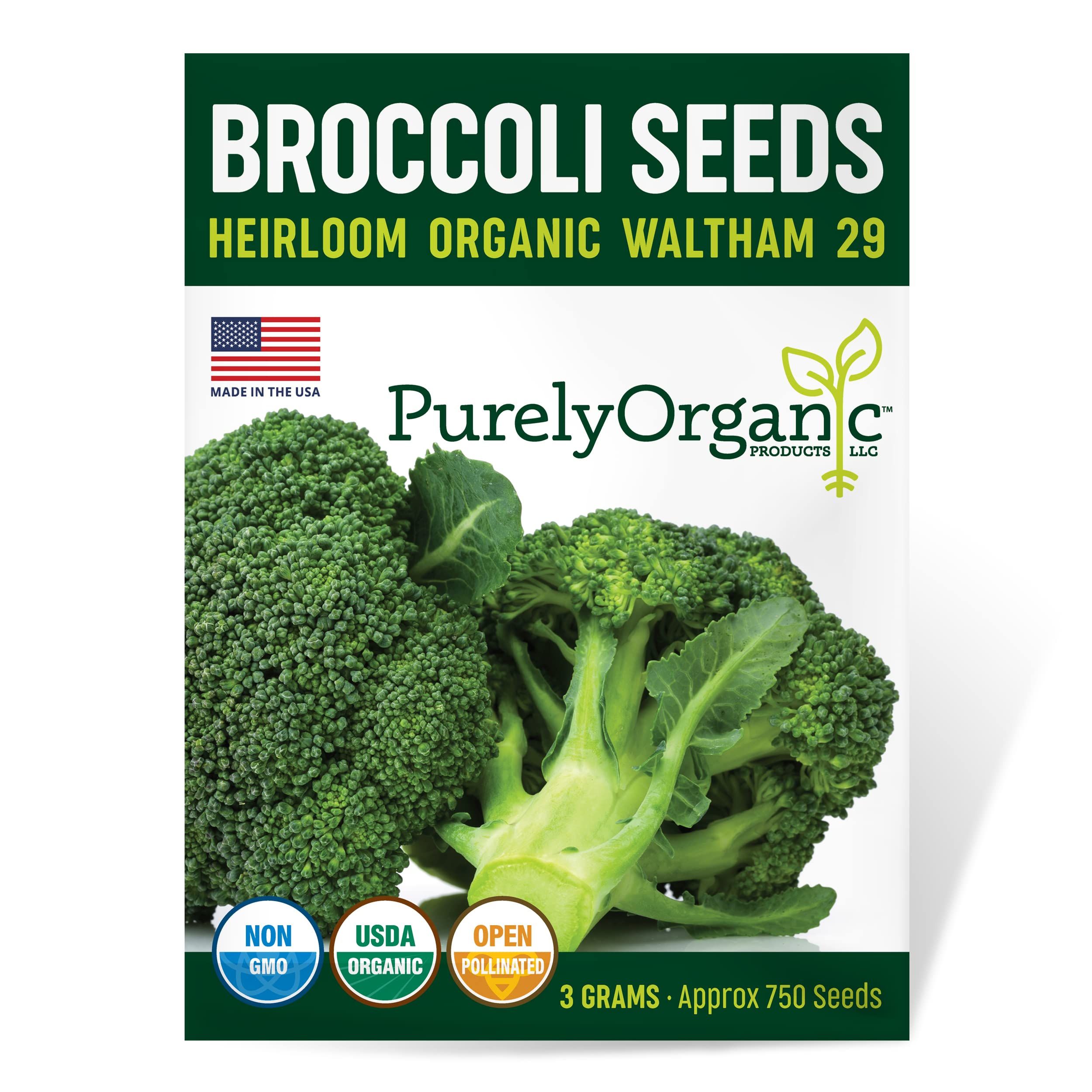 Broccoli Seeds