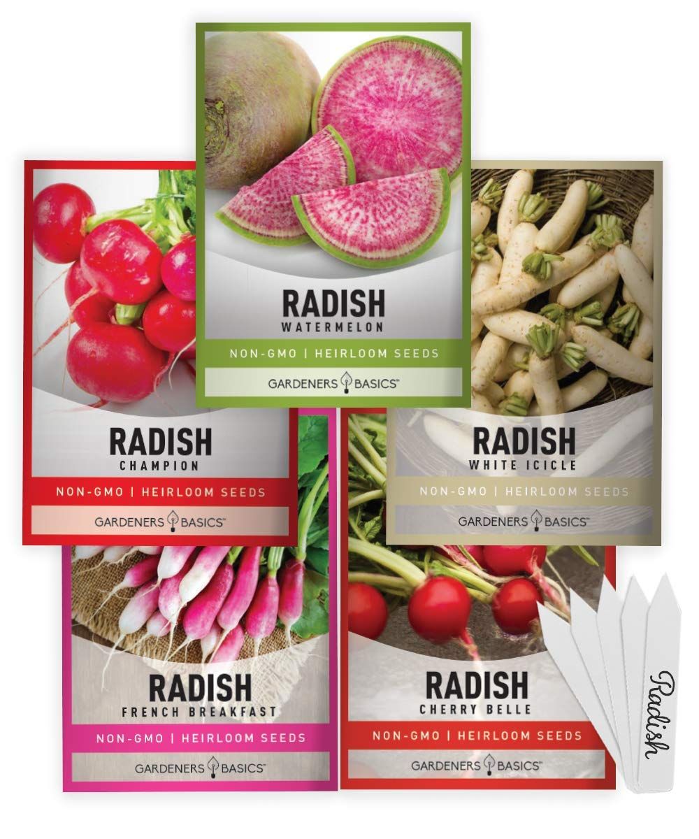 Radish Seeds