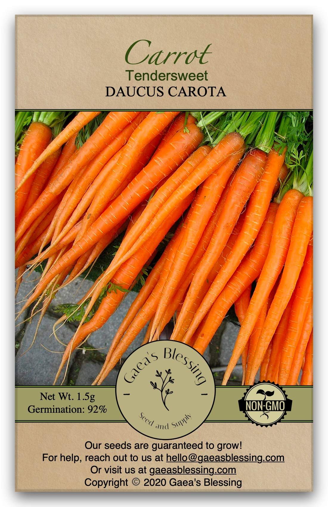Carrot Seeds