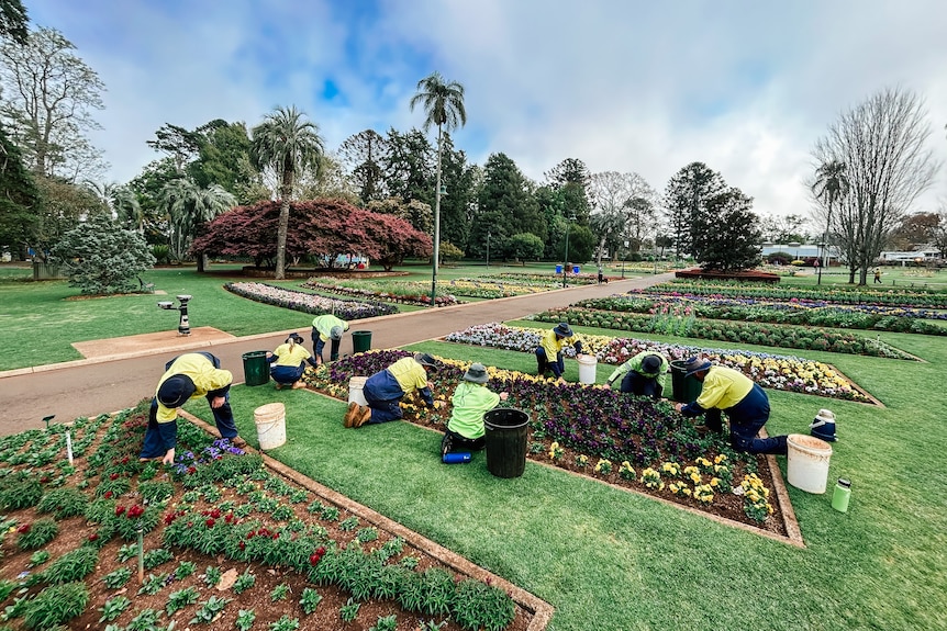 A group of gardeners kneel in beds of flowers