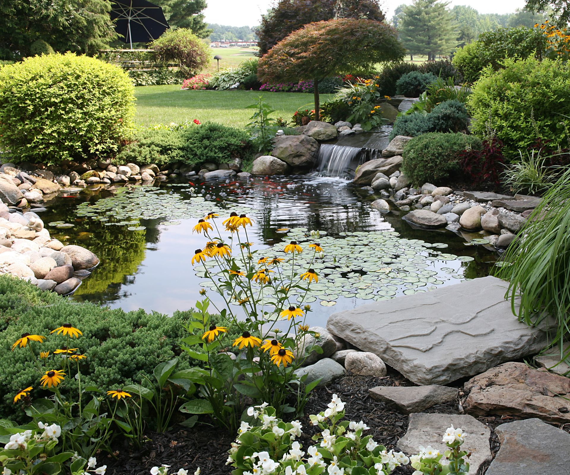 Garden pond