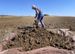 Oregon State University soil scientist Markus Kleber digs a pit in a crop field near Boardman in March to sample the soil and measure its carbon storage potential.