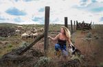 Rancher Jeanne Carver visits some of the sheep on the Imperial Stock Ranch in June 2022. She hired scientists to measure how much carbon is added to the soil on the ranch with changes to grazing patterns and crop production.