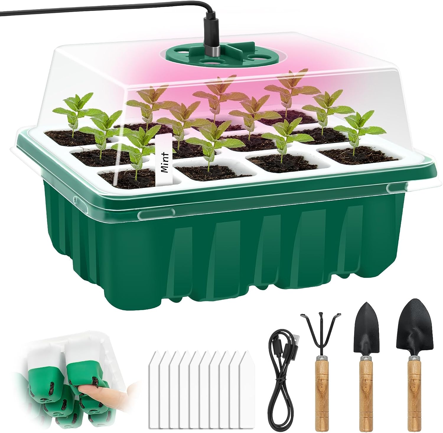 GrJyls Seed Starter Tray Kit with Grow Light
