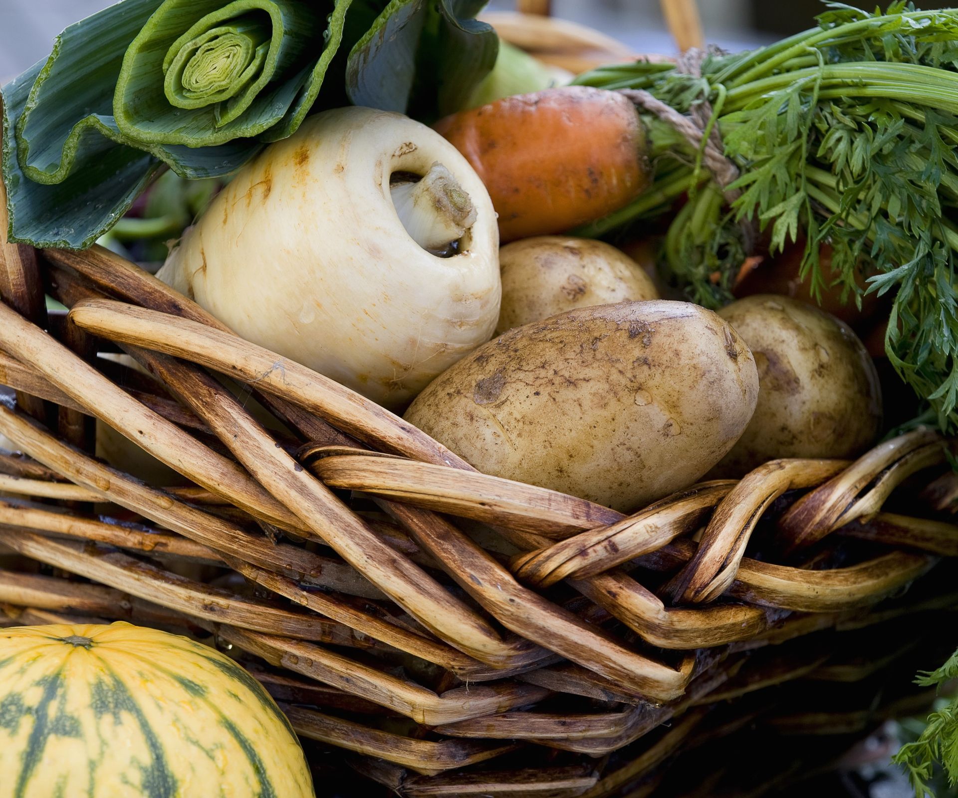 Freshly harvested fall vegetables
