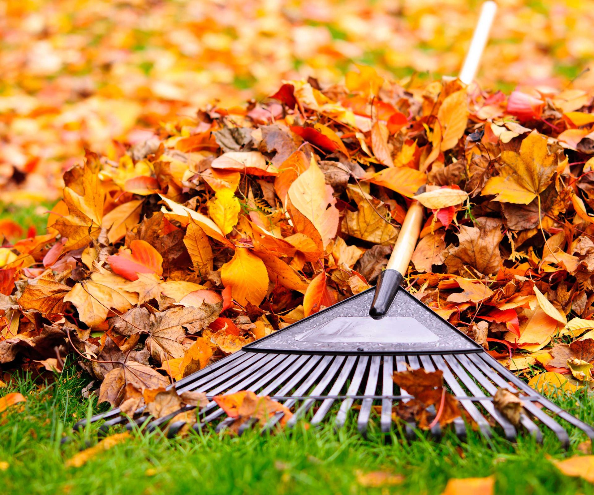 raking leaves