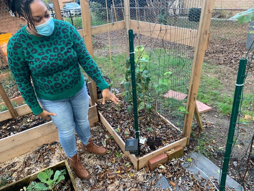 Vanessa Pierre in her home garden where she grows vegetables, herbs, and flowers in plant beds at her homestead in Maryland.