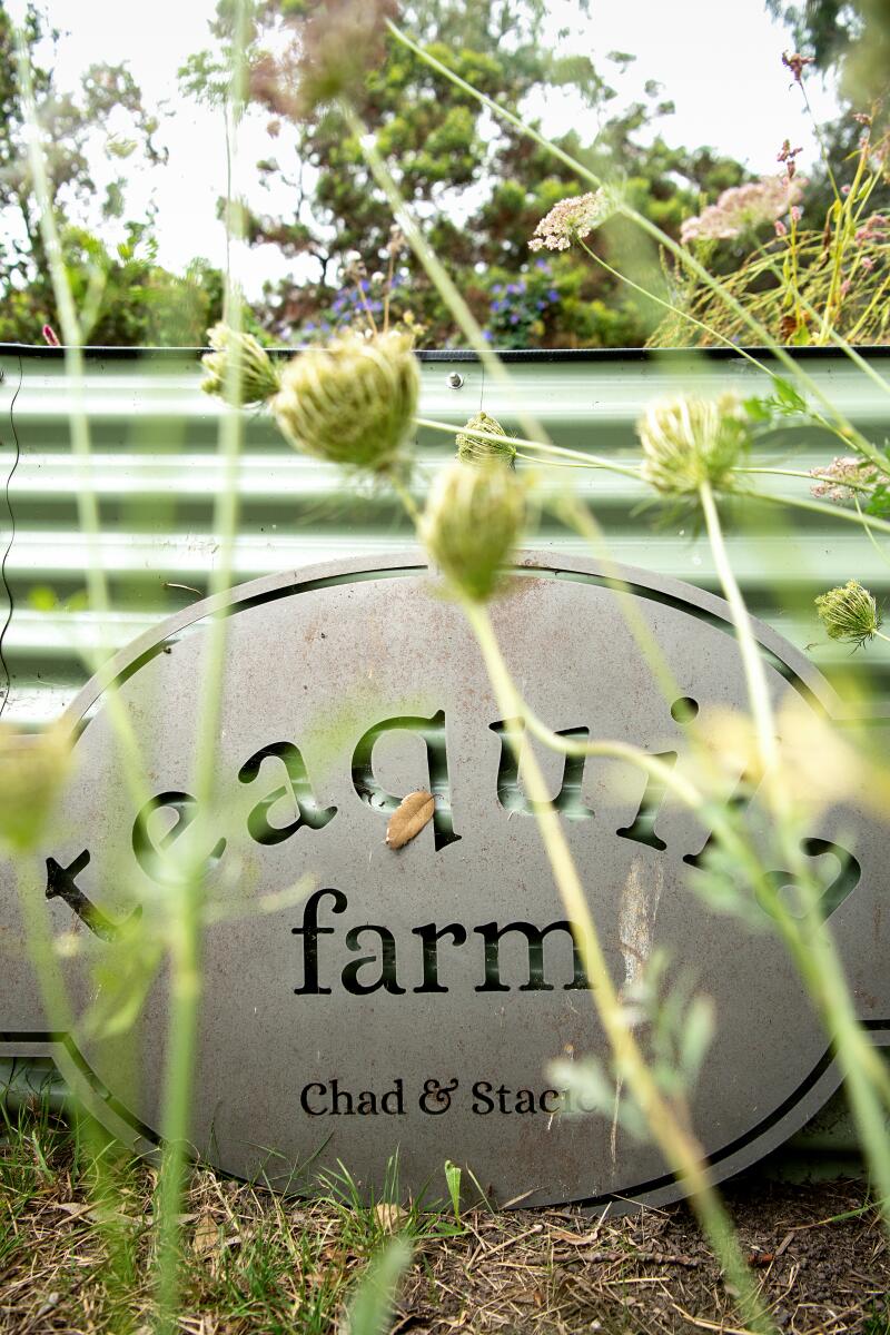 The Teaquila Farm sign.