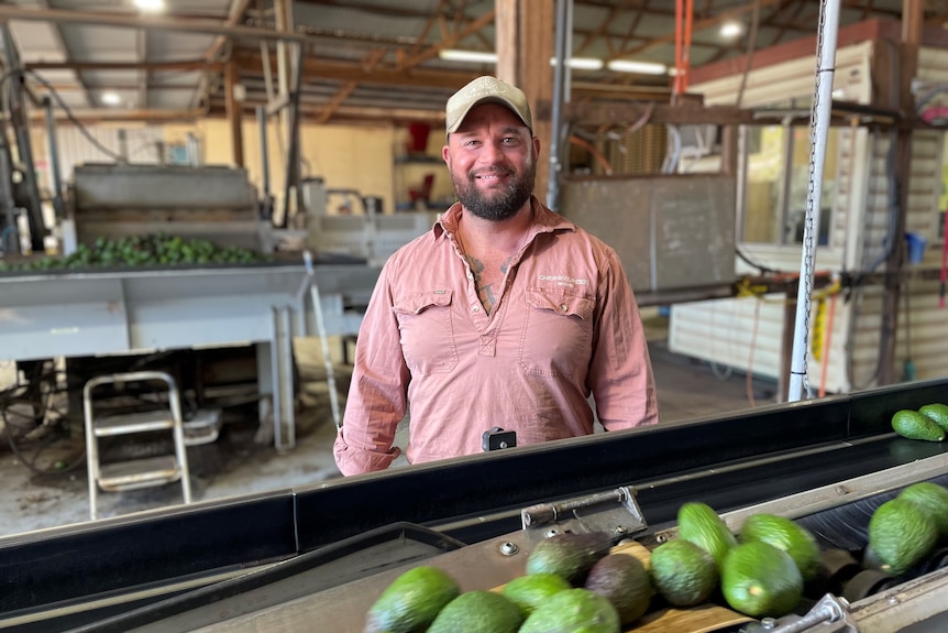 Image of a man standing in front of avocados. 