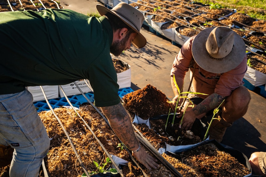 Image of two men digging in dirt. 