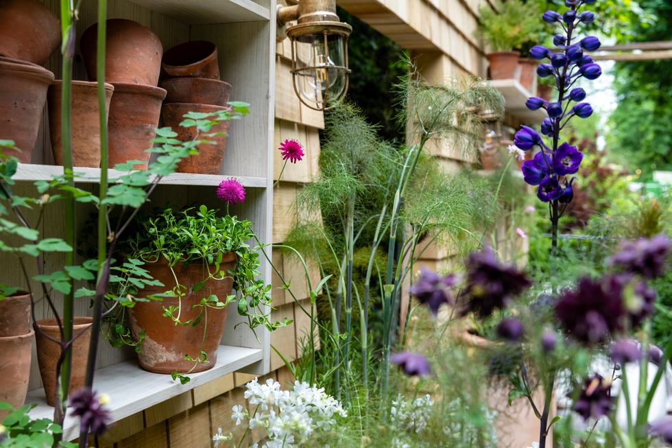 the restorative balcony garden sponsored by viking designed by christina cobb sponsored by viking balcony garden rhs chelsea flower show 2023 stand no 804