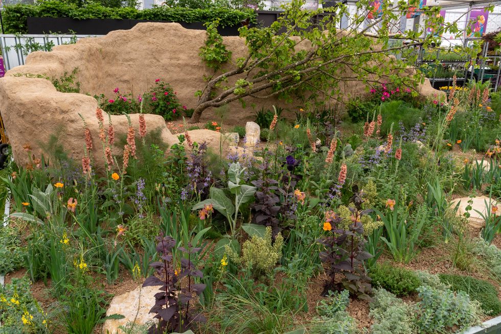 chelsea flower show 2023 all about plants garden