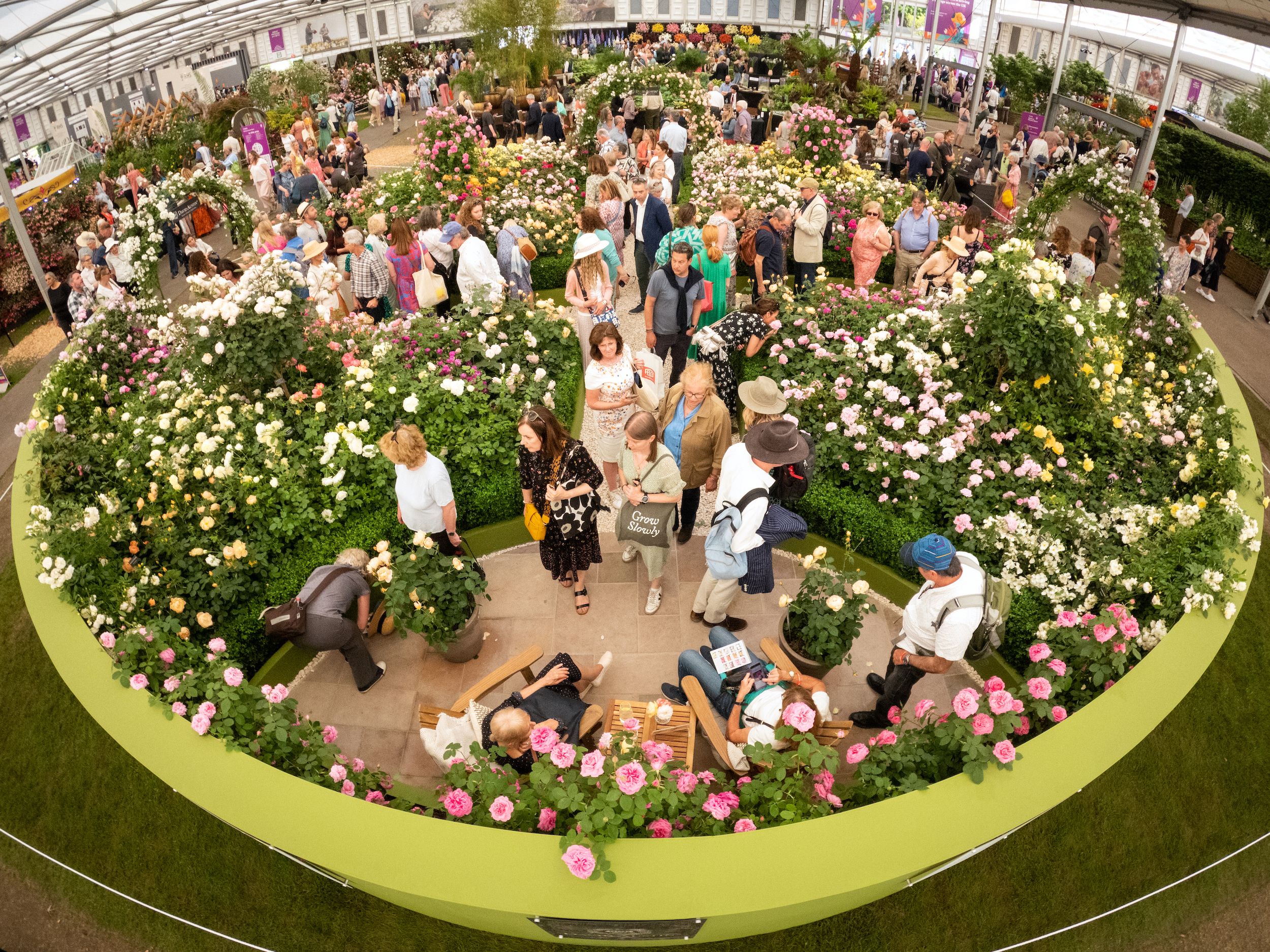 chelsea flower show 2023 the great pavilion