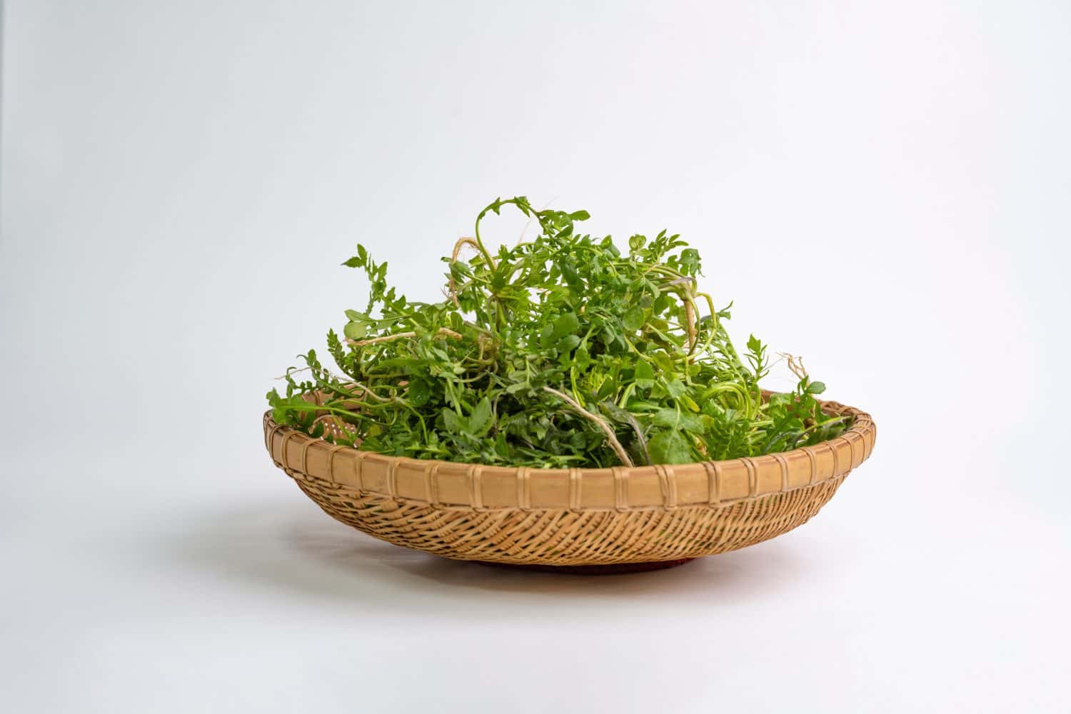 Spring herbs, shepherd's purse. ingredients that symbolize spring in Korea.