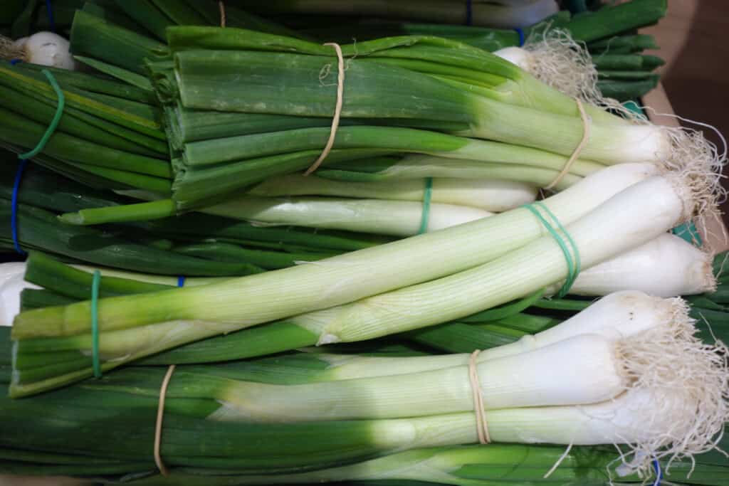 Green onions in bunches