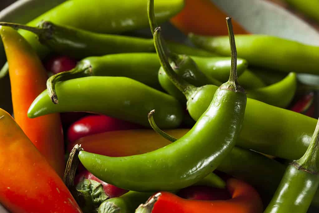 Organic Green Spicy Serrano Peppers