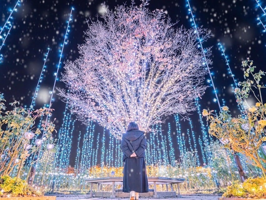 Ashikaga flower park 18