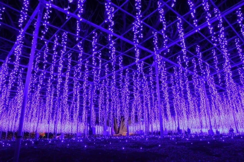 Ashikaga flower park 2