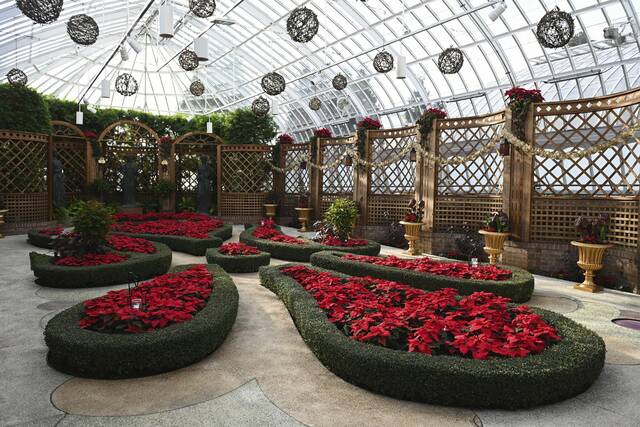 6777142_web1_ptr-phippsflowershow008-111723 6777142_web1_ptr-phippsflowershow008-111723